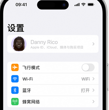 全南appleID维修服务iPhone设置中Apple ID显示为灰色无法使用 