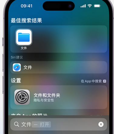 全南apple维修中心分享iPhone文件应用中存储和找到下载文件