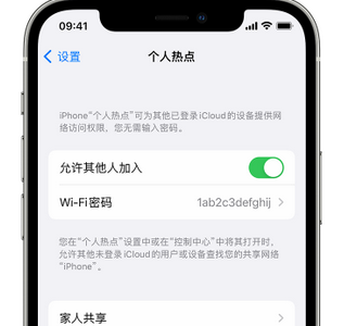 全南apple服务站点分享iPhone上个人热点丢失了怎么办 