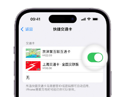 全南apple维修点分享iPhone上更换Apple Pay快捷交通卡手绘卡面 