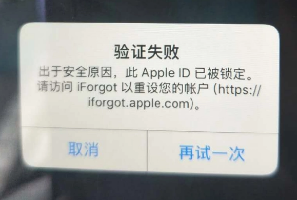 全南iPhone维修分享iPhone上正常登录或使用AppleID怎么办 