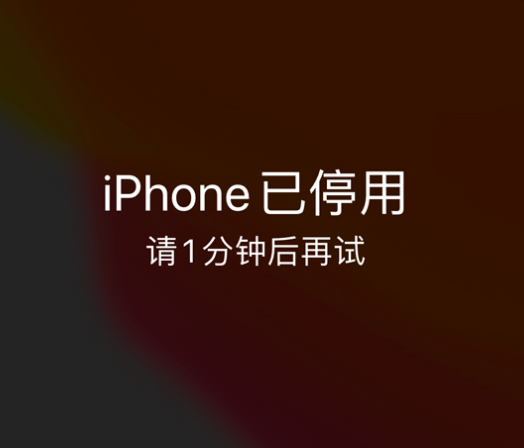 全南苹果手机维修分享:iPhone 显示“不可用”或“已停用”怎么办？还能保留数据吗？ 