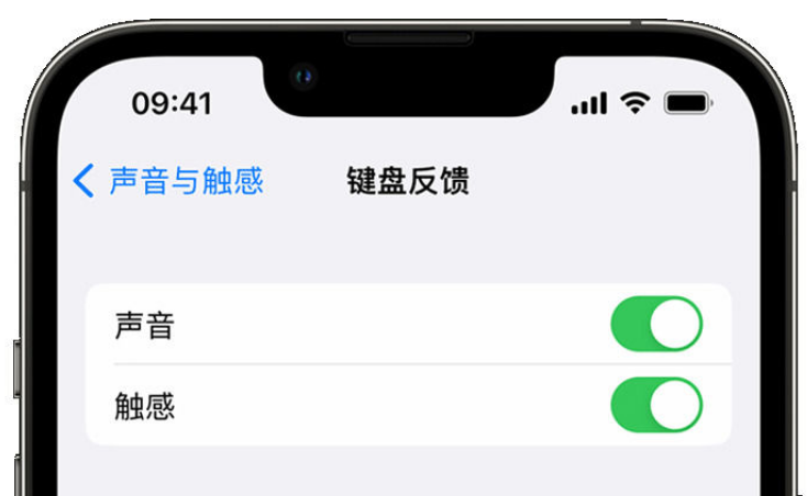 全南苹果手机维修分享iPhone 14触感键盘使用方法 