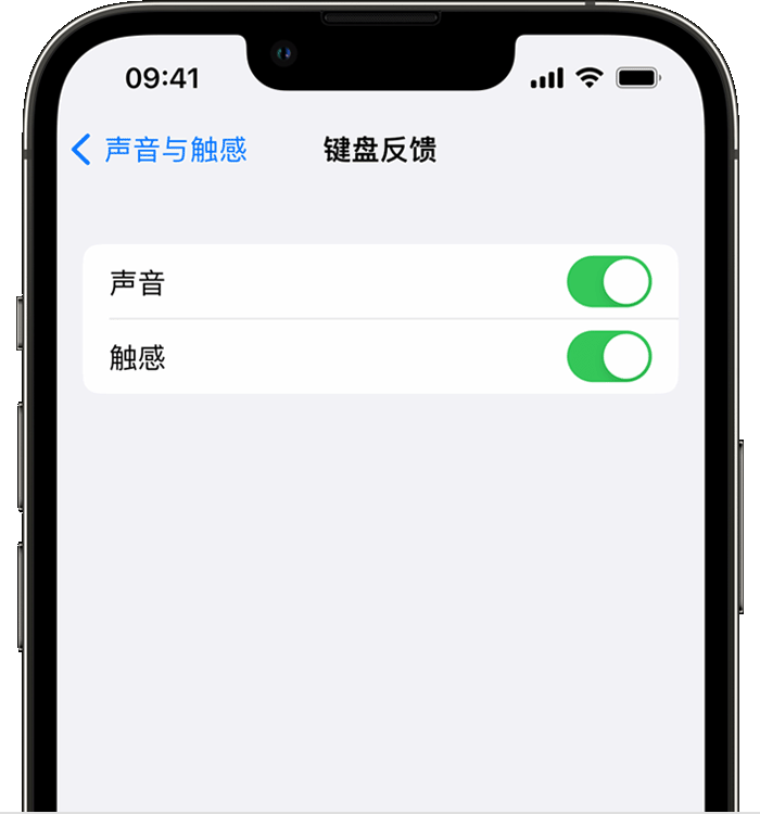 全南苹果14维修店分享如何在 iPhone 14 机型中使用触感键盘 