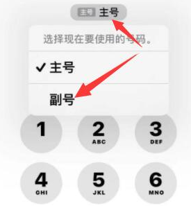 全南苹果14维修店分享iPhone 14 Pro Max使用副卡打电话的方法 