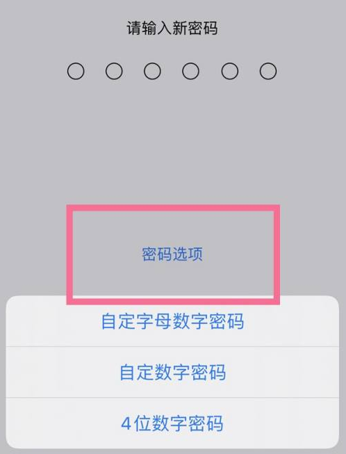 全南苹果14维修分享iPhone 14plus设置密码的方法 