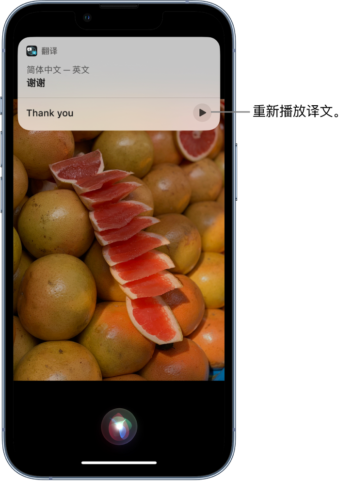 全南苹果14维修分享 iPhone 14 机型中使用 Siri：了解 Siri 能帮你做什么 