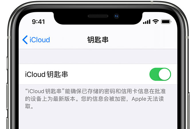 全南苹果手机维修分享在 iPhone 上开启 iCloud 钥匙串之后会储存哪些信息 