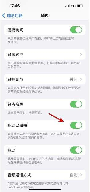 全南苹果手机维修分享iPhone手机如何设置摇一摇删除文字 